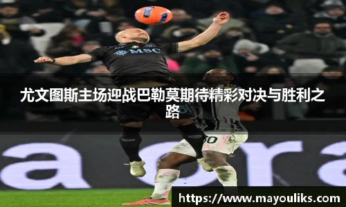 熊猫体育尤文图斯主场迎战巴勒莫期待精彩对决与胜利之路